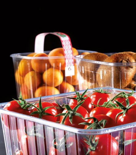 Barquette plastique avec anses