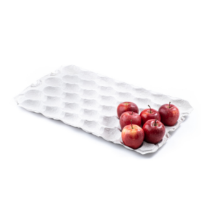 Alvéole cellulose moulée fruits ronds - Pack Vert - Solutions d’emballage biodégradables et recyclables