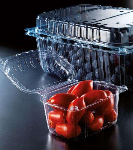 barquette plastique tomate
