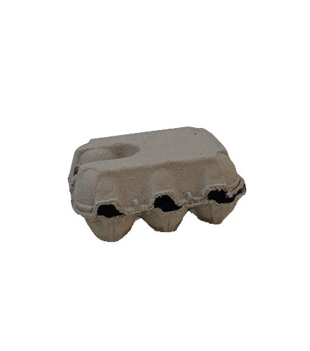 Boite 6 oeufs cellulose