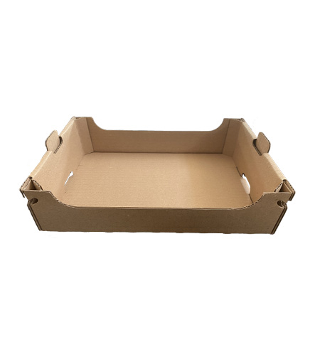 PLATEAU CARTON