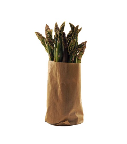 Bande asperges kraft