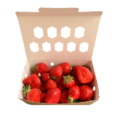 Barquette carton couvercle attenant