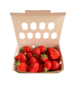 Barquette carton couvercle attenant