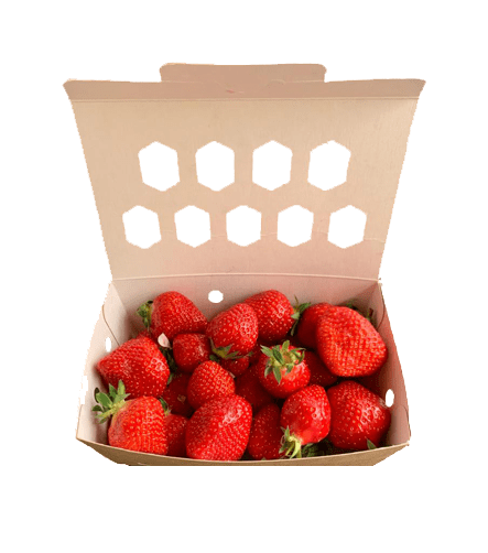 Barquette carton couvercle attenant