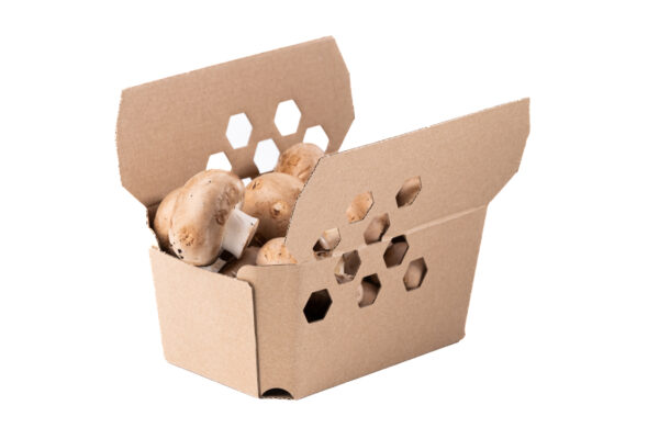Barquette carton avec rabats - Pack Vert - Solutions d’emballage biodégradables et recyclables