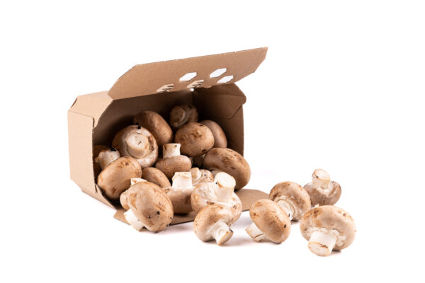 Barquette carton avec rabats - Pack Vert - Solutions d’emballage biodégradables et recyclables