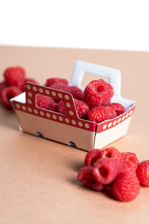 Barquette carton avec anses "élégance" - Pack Vert - Emballages alimentaires durables et innovants