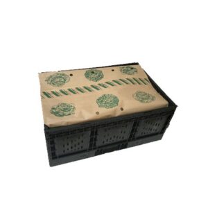 Garniture de salade - Pack Vert - L’alternative verte pour vos emballages alimentaires