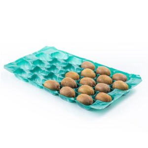 Alvéole PP Kiwi