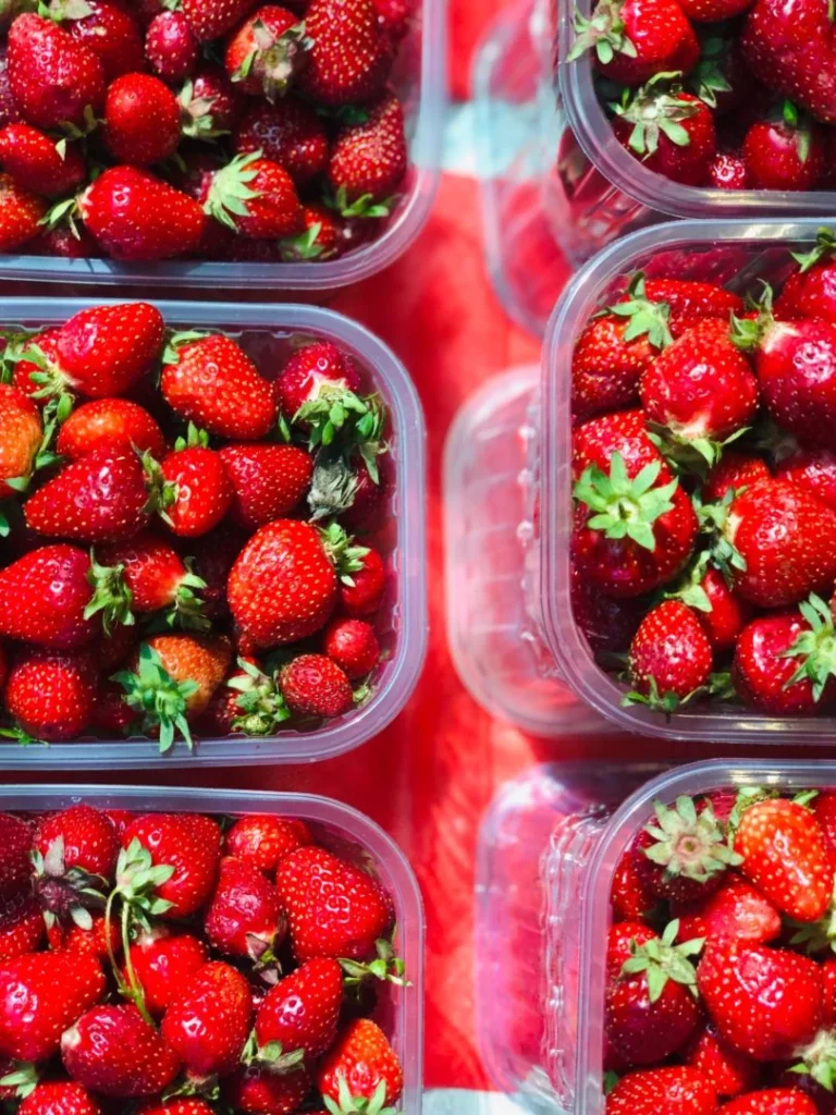 Pack Vert - Fournisseur emballage écologique alimentaire