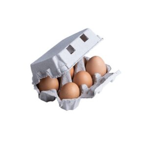 Boite de 6 oeufs en cellulose TOP - Pack Vert - Fournisseur emballage écologique alimentaire