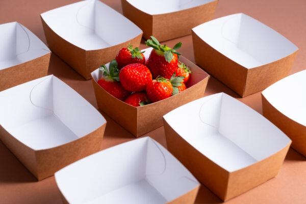 Barquette fraises - Pack Vert - Fournisseur d'emballage écologique